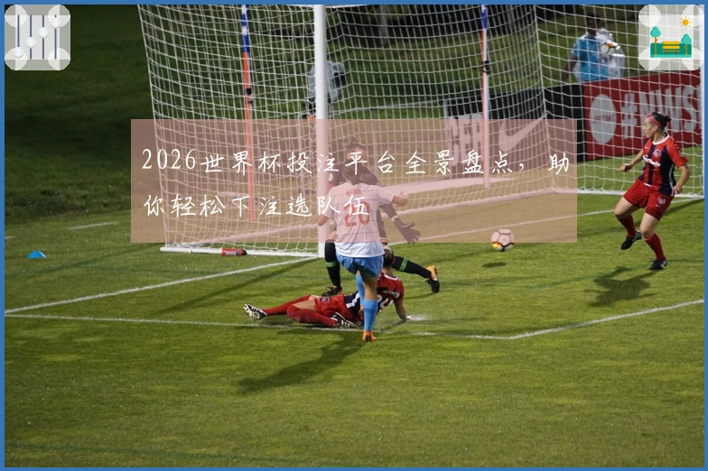2026世界杯投注平台全景盘点，助你轻松下注选队伍