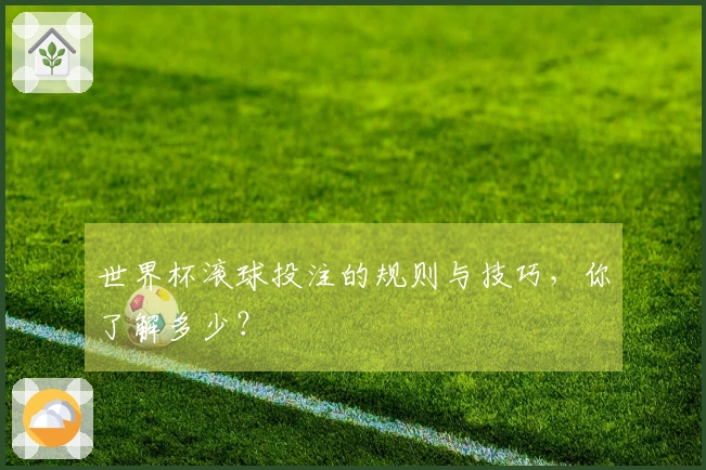 世界杯滚球投注的规则与技巧，你了解多少？