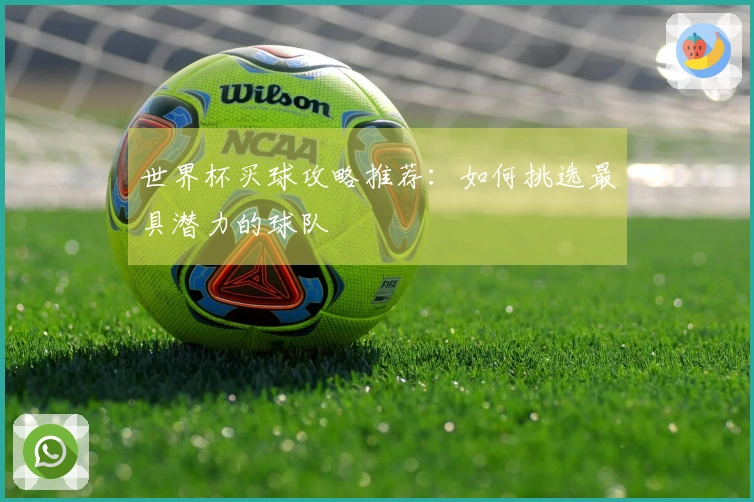 世界杯买球攻略推荐：如何挑选最具潜力的球队