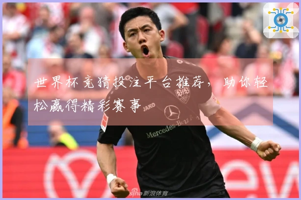世界杯竞猜投注平台推荐，助你轻松赢得精彩赛事