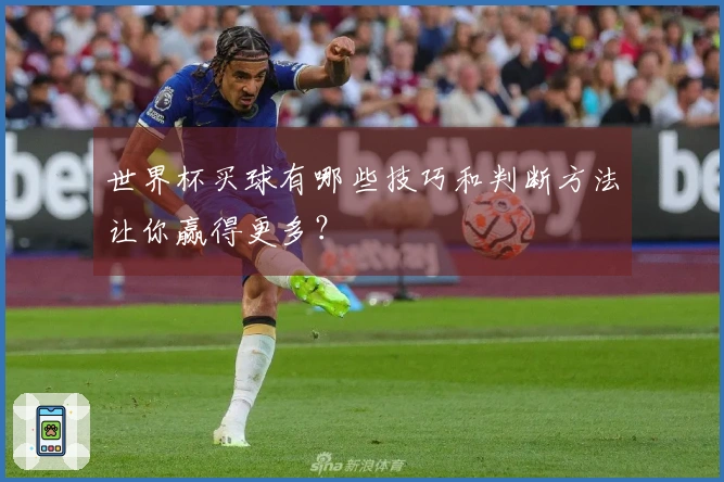 世界杯买球有哪些技巧和判断方法让你赢得更多？